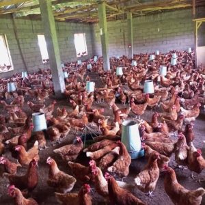 1860184e-8856-4b81-8439-71463a3fef07