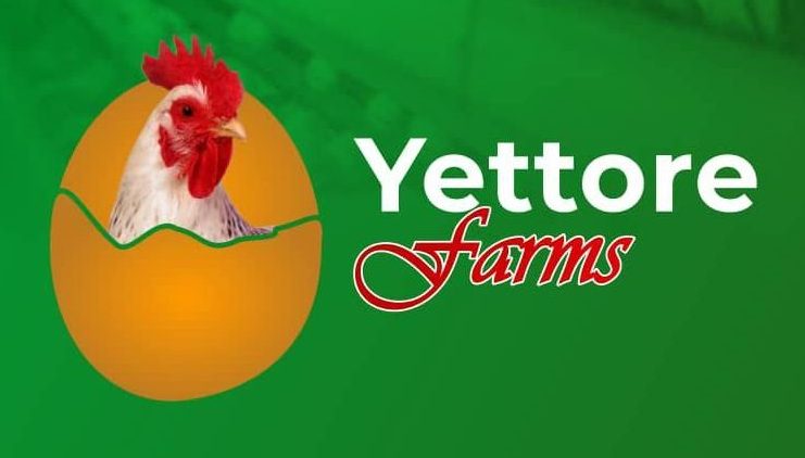 Yettore Farms